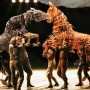 War Horse